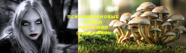 дживик Зеленодольск