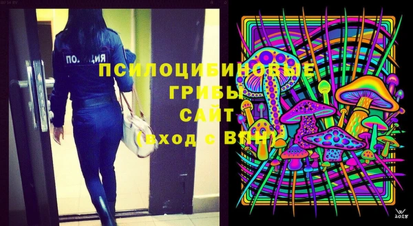дживик Зеленодольск