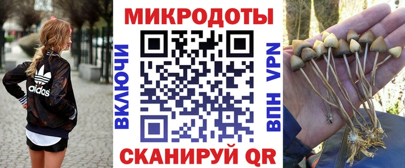 Галлюциногенные грибы Cubensis  Купить  Ершов 